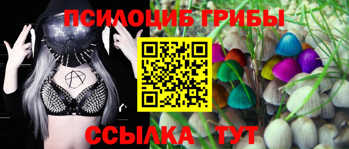 Галлюциногенные грибы MAGIC MUSHROOMS Новочебоксарск